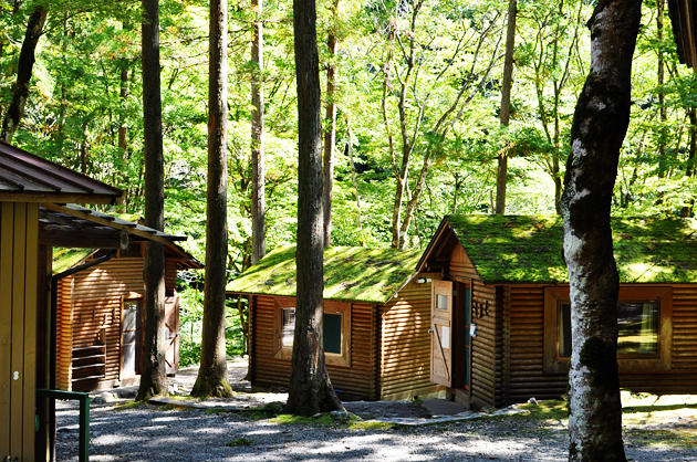 sainokuni saitama camp site vivat veritas